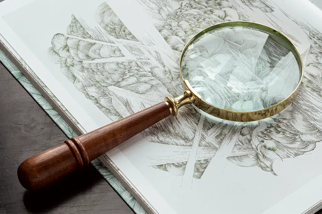 Fur Traditionalisten - Lupe Poirot